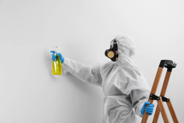 Best Emergency Mold Remediation  in Davenport, WA